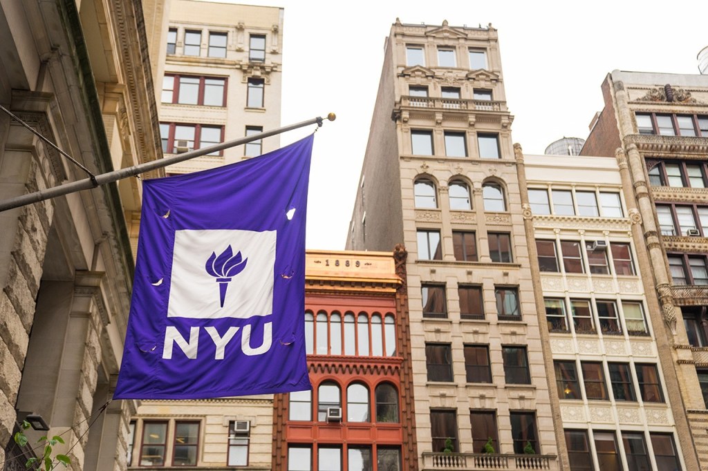 Picture of: A Social Work Minor at NYU Is Anything But Minor – MEET NYU